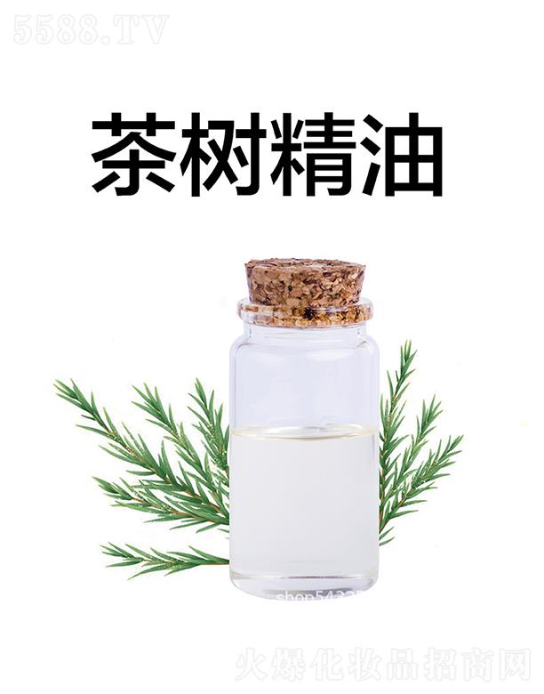 Ƽ޹˾ò侫