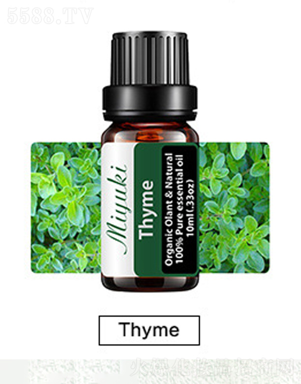 V׋IƼ޹˾o(h)w޹Ħ-Thyme