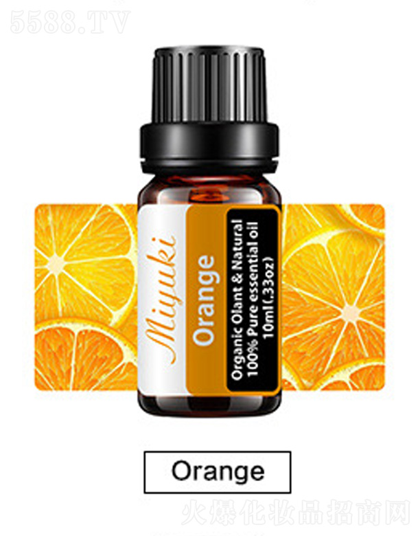 V׋IƼ޹˾o(h)w޹Ħ-Orange