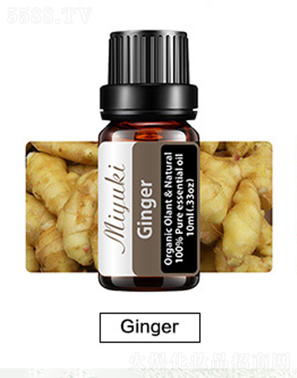 V׋IƼ޹˾o(h)w޹Ħ-Ginger