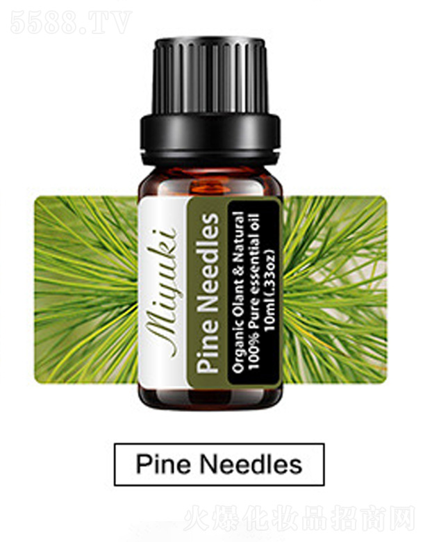 V׋IƼ޹˾o(h)w޹Ħ-Pine Needles