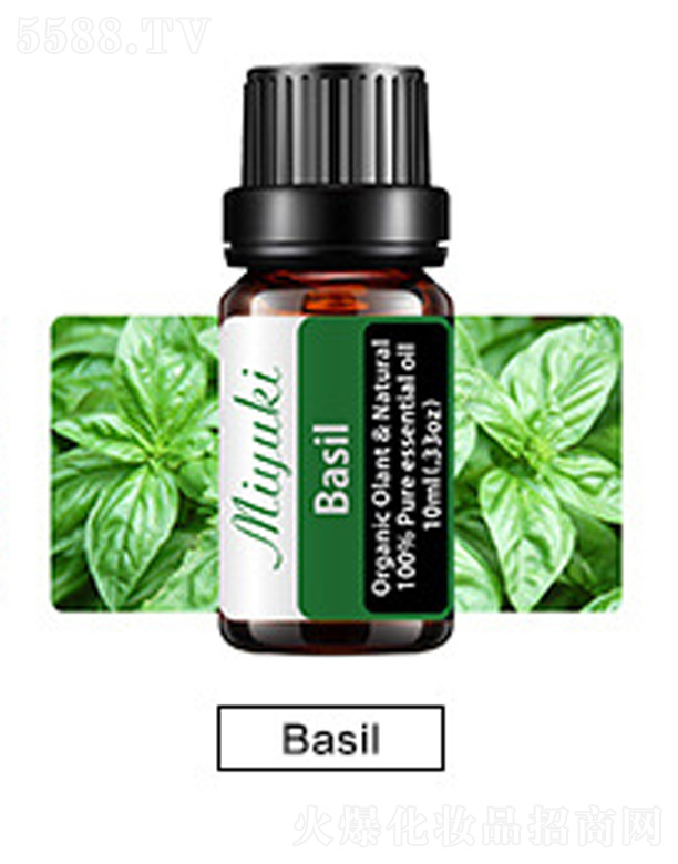 V׋IƼ޹˾o(h)w޹Ħ-Basil_