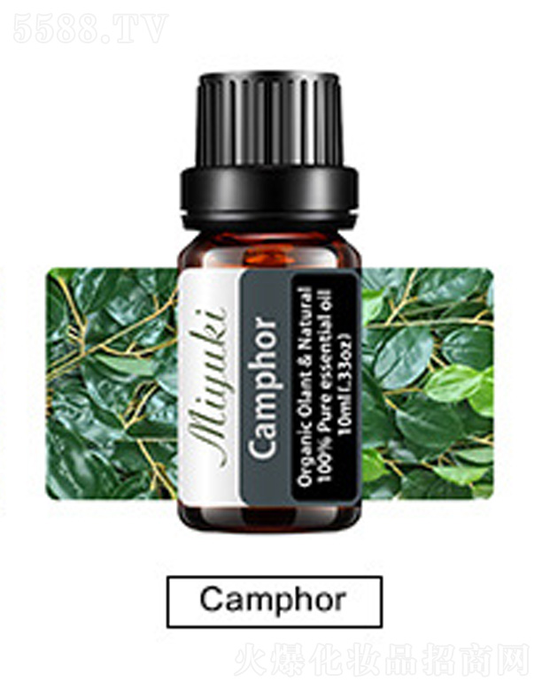 V׋IƼ޹˾o(h)w޹Ħ-CamphorX