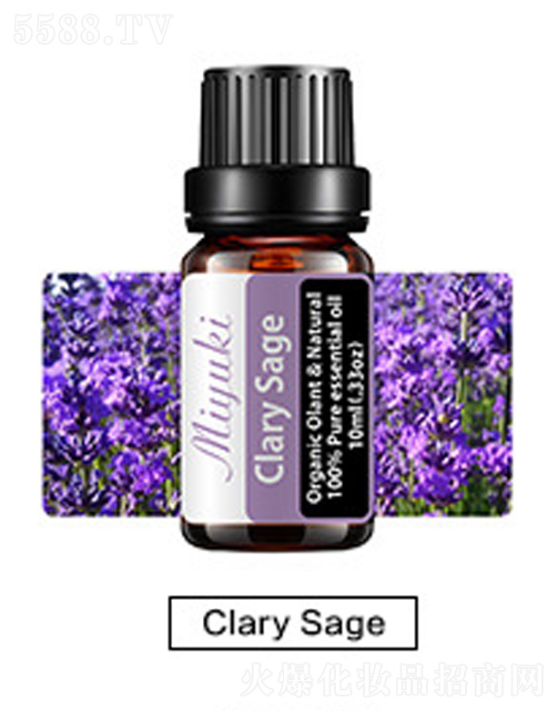 V׋IƼ޹˾o(h)w޹Ħ-Clary Sageβ