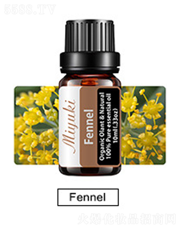 V׋IƼ޹˾o(h)w޹Ħ-Fennel