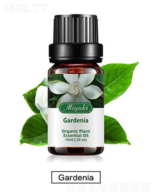 V׋IƼ޹˾o(h)w޹Ħ-Gardeniad