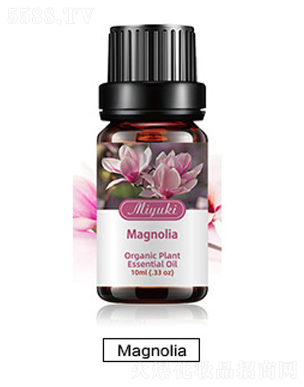 V׋IƼ޹˾o(h)w޹Ħ-Magnoliaľm