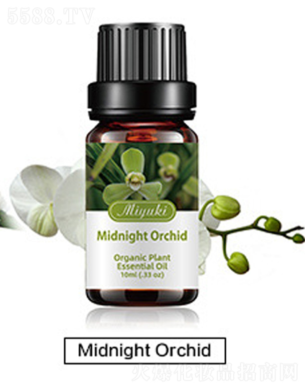 V׋IƼ޹˾o(h)w޹Ħ-Midnight Orchidҹm