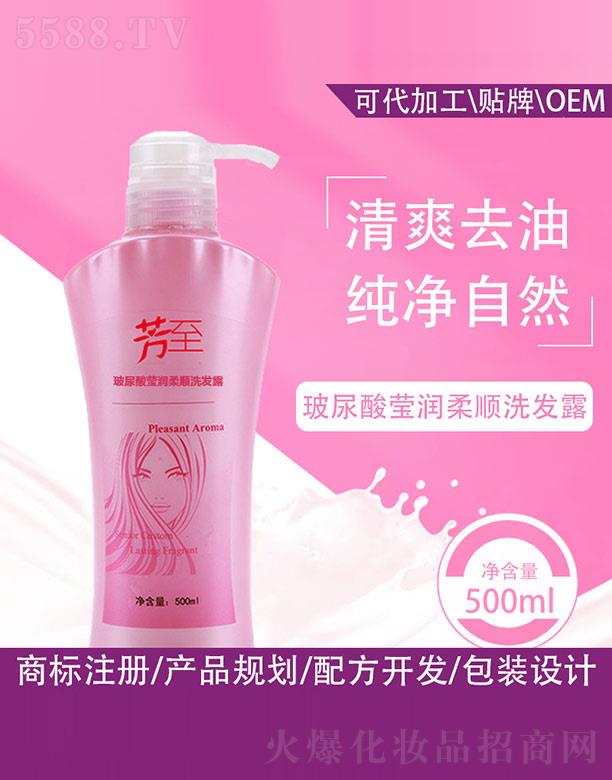 Vݰy˼yƷ޹˾ᬓϴl(f)¶ 500ml