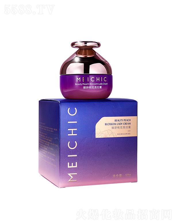 V|ힻyƷ޹˾MEICHICһFD