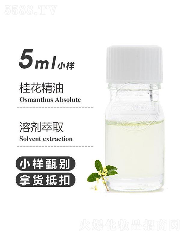 ֮Դ𻨾 5ml