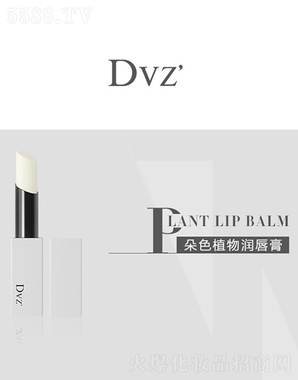 Dvzֲ(rn) 4g