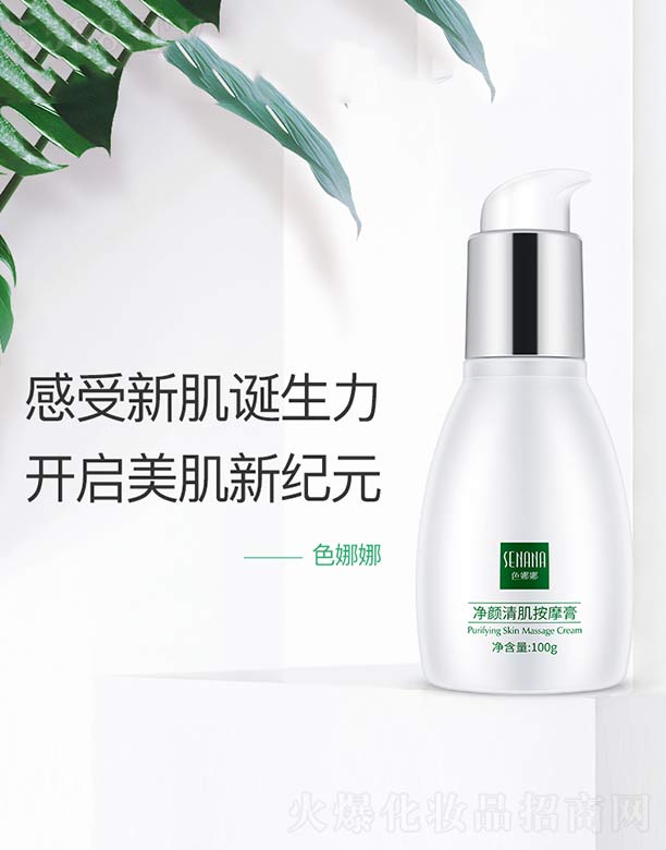 ɫȃ弡Ħ 100g