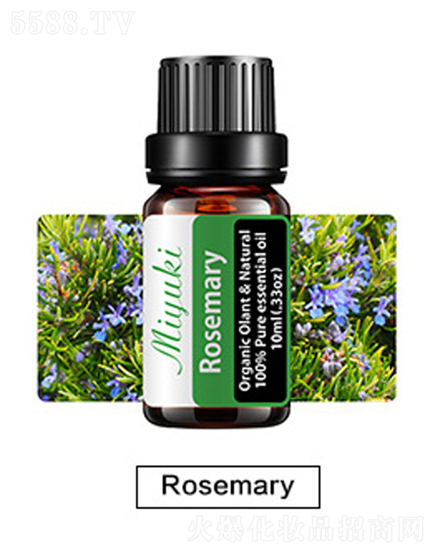 o(h)w޹Ħ-Rosemary_˹