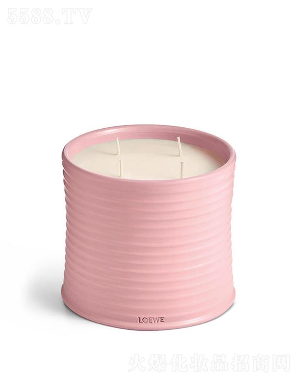 LOEWE̖(ho)㾫ϞT 100