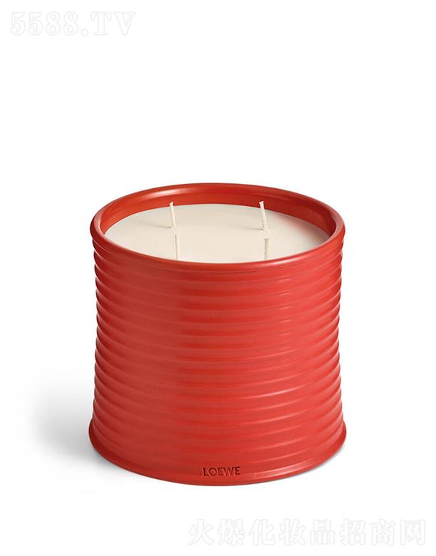 LOEWE̖~㾫ϞT 100