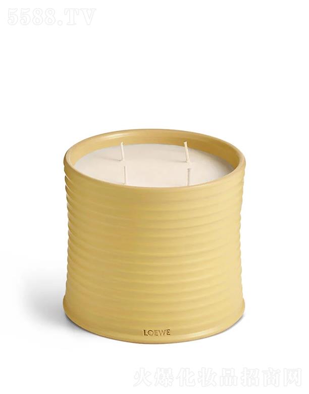 LOEWE̖y㾫ϞT 100