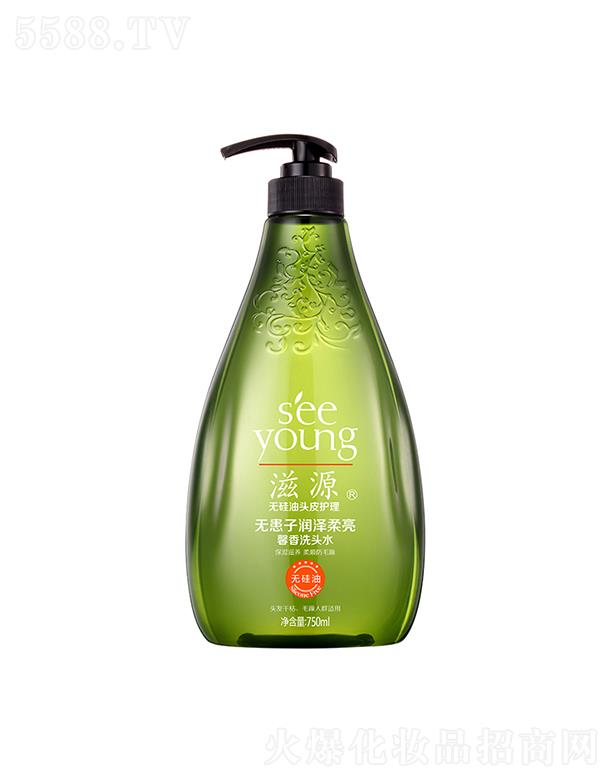 Դoӝܰϴ^ˮ750mL