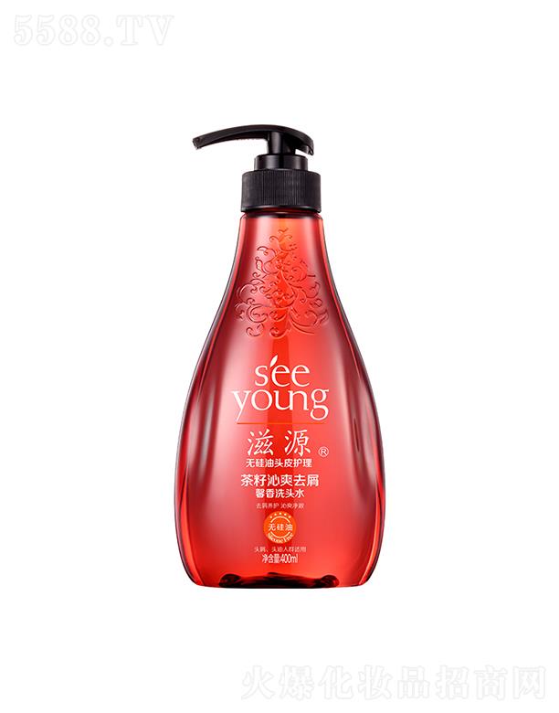 Դˬȥмܰϴ^ˮ400mL