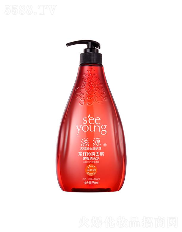 Դˬȥмܰϴ^ˮ750mL