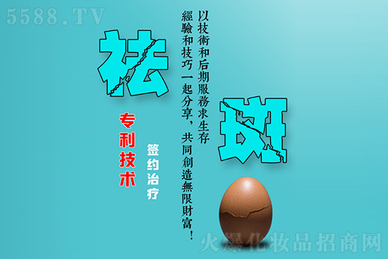 斑世家 斑世家