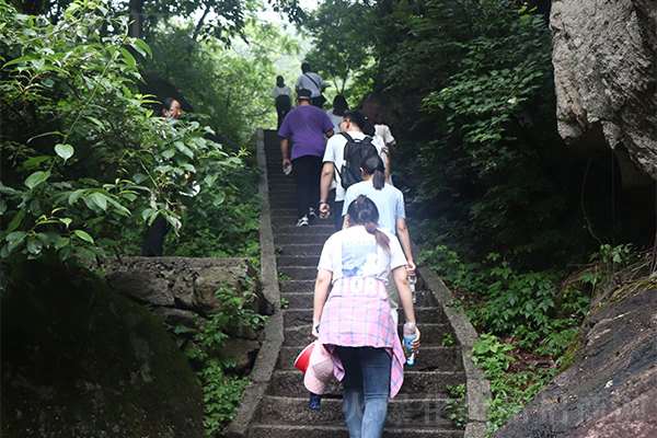老君山之行|遠赴人間驚鴻宴,一睹人間盛世顏 老君山之行|遠赴人間驚鴻宴,一睹人間盛世顏