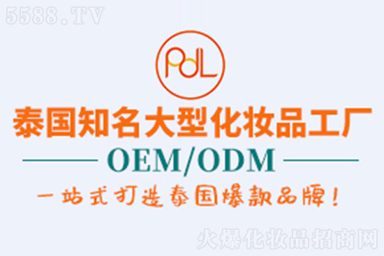 PDL公司 PDL公司