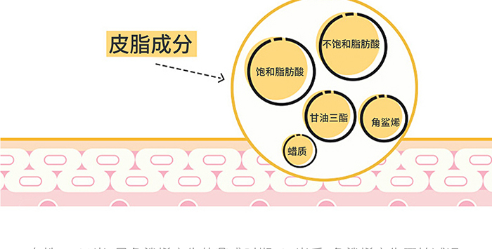 高地保濕修護(hù)霜 高地保濕修護(hù)霜