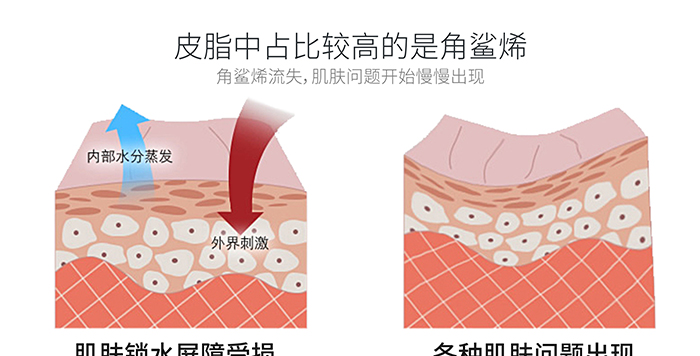 高地保濕修護(hù)霜 高地保濕修護(hù)霜