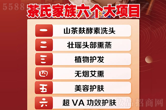 茶氏家族六個項(xiàng)目 茶氏家族六個項(xiàng)目